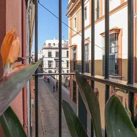 Gotoseville San Bernardo * Seville