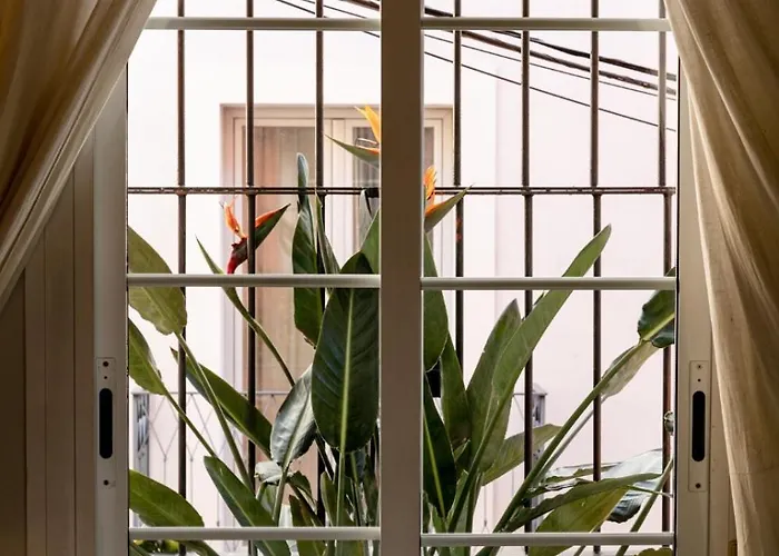 Gotoseville San Bernardo Διαμέρισμα