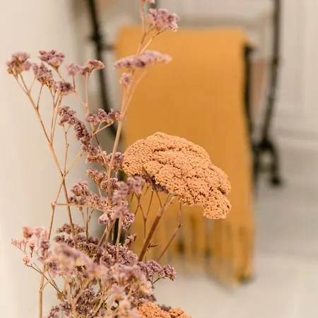 Apartment Gotoseville San Bernardo